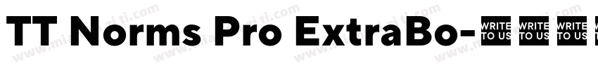 TT Norms Pro ExtraBo字体转换